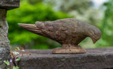Photo of Campania French Dove - Exclusively Campania